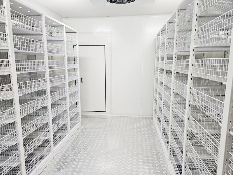 ˫ʮ�������