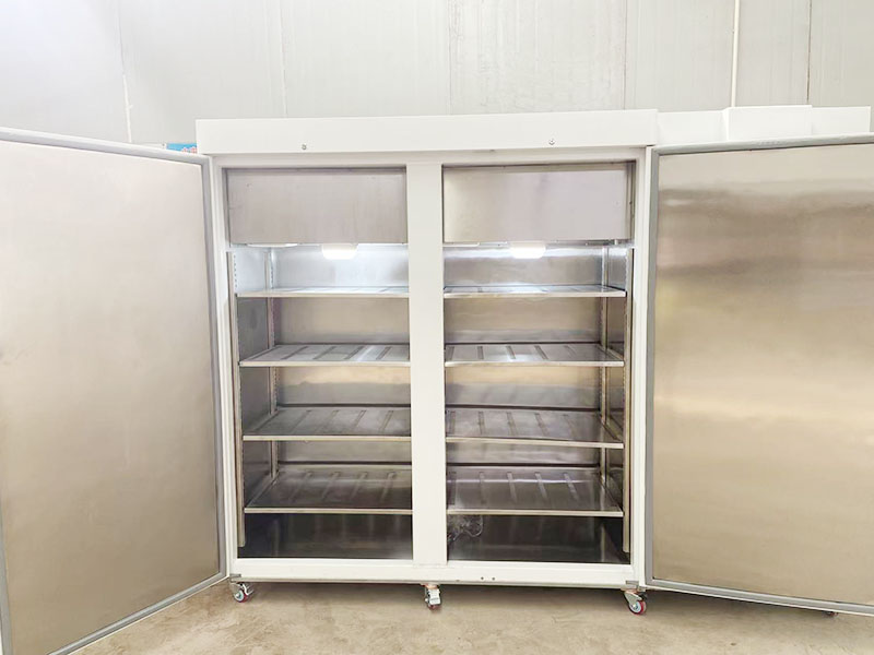 ˫����������