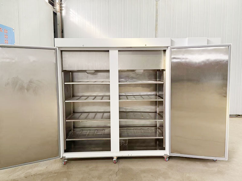 ˫����������