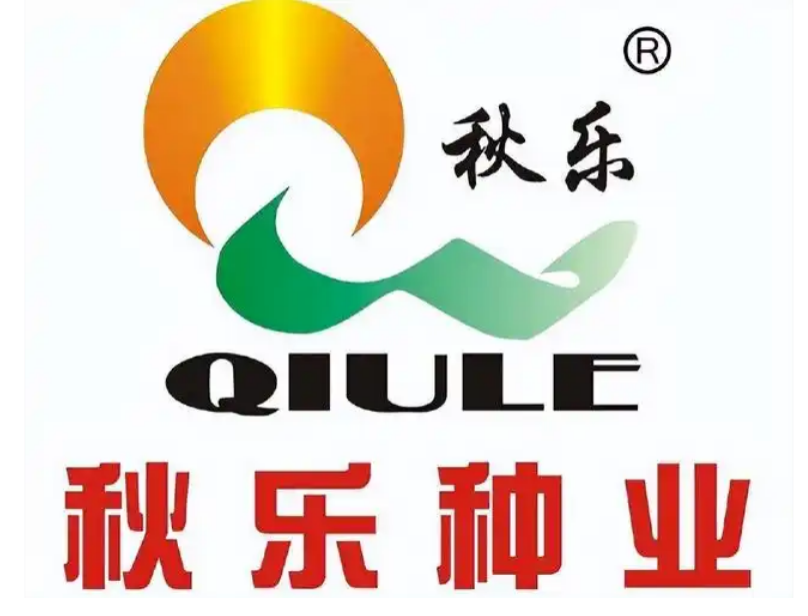 ����������ҵ